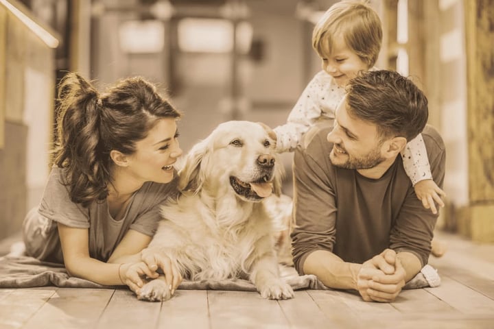 Family Health Tips